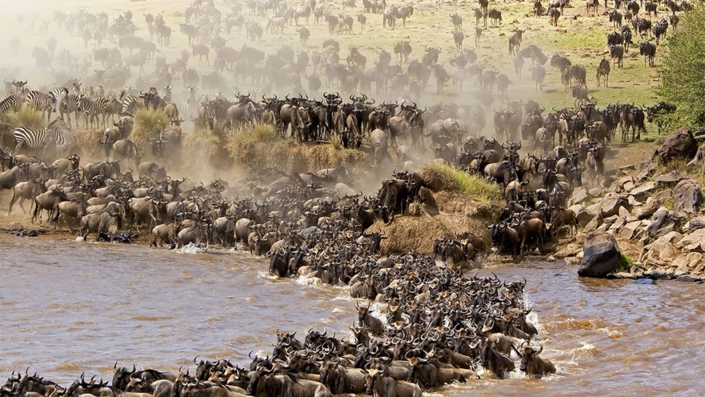 Best Place to Visit in Serengeti
