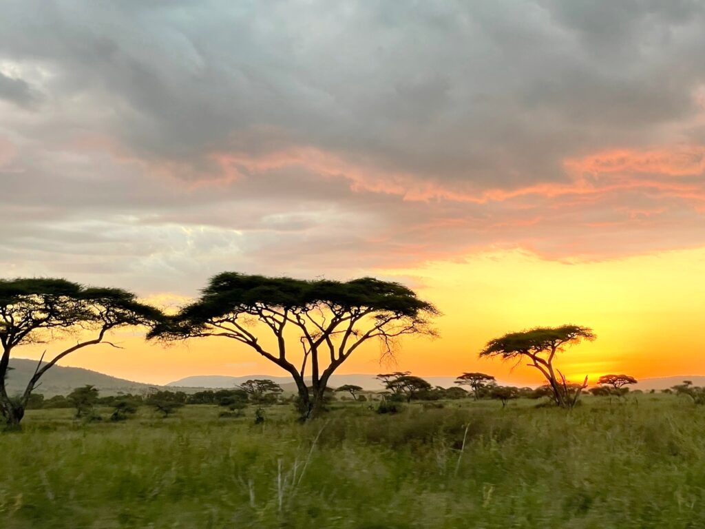 Why go to Serengeti