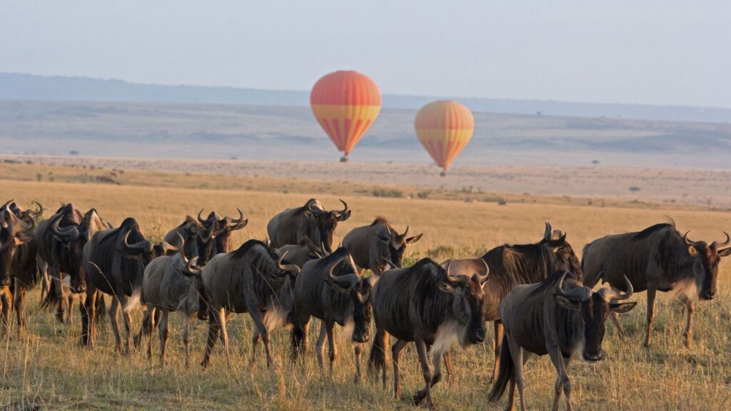 When to Visit Serengeti