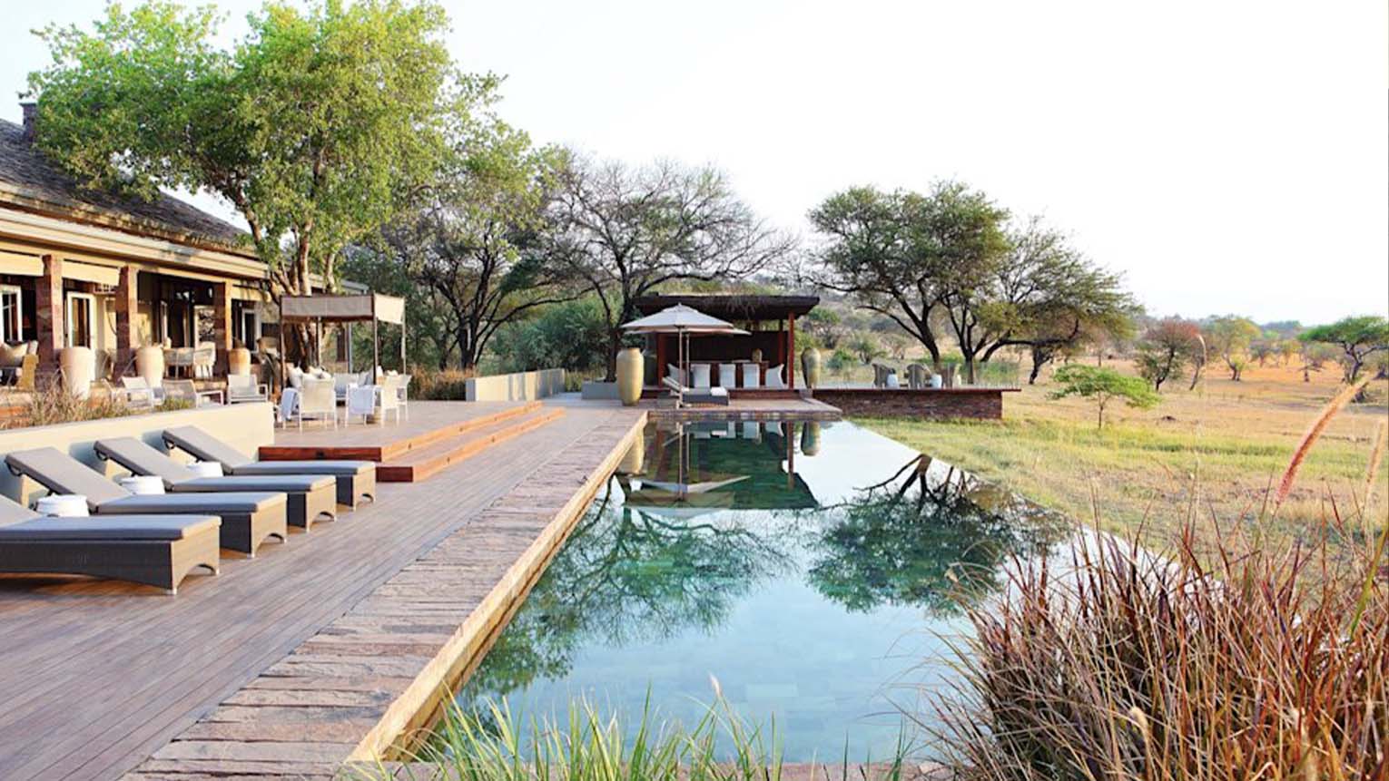 home grid serengeti house
