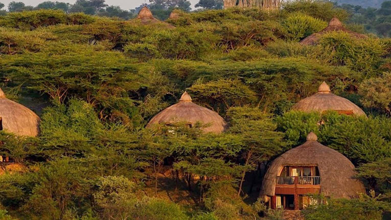 serengeti serena safari lodge 0
