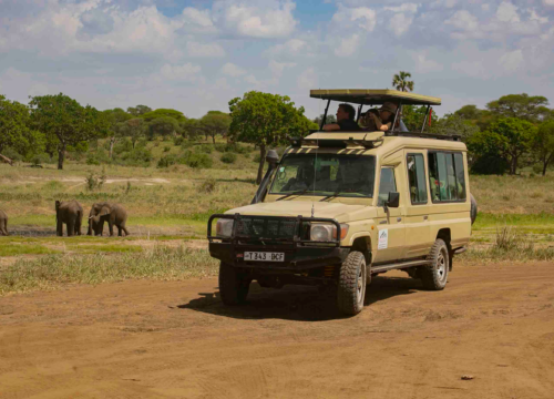 The Ultimate Tanzania Safari Itinerary for First-Timers
