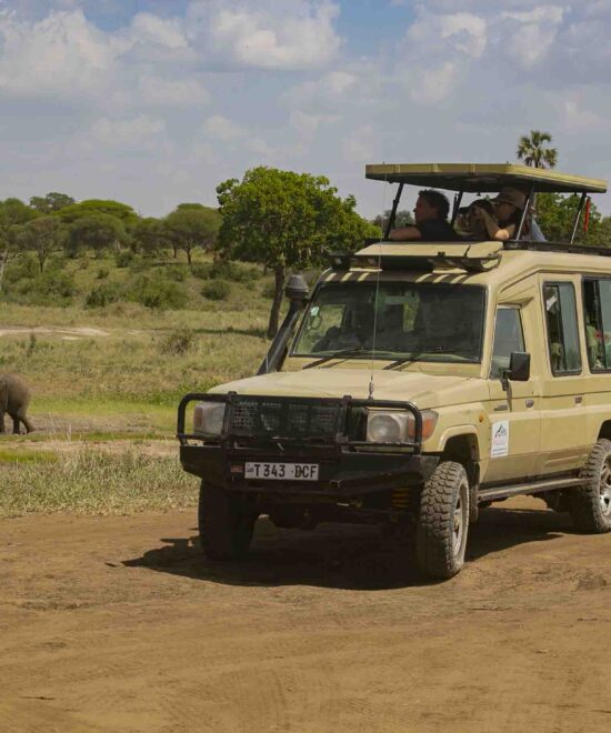 The Ultimate Tanzania Safari Itinerary for First-Timers