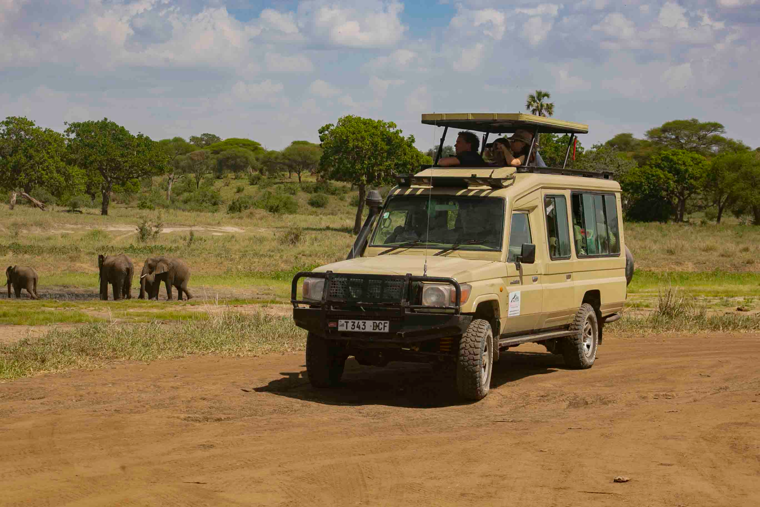 The Ultimate Tanzania Safari Itinerary for First-Timers