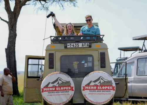 Which Is Better : Group or Private Tours?