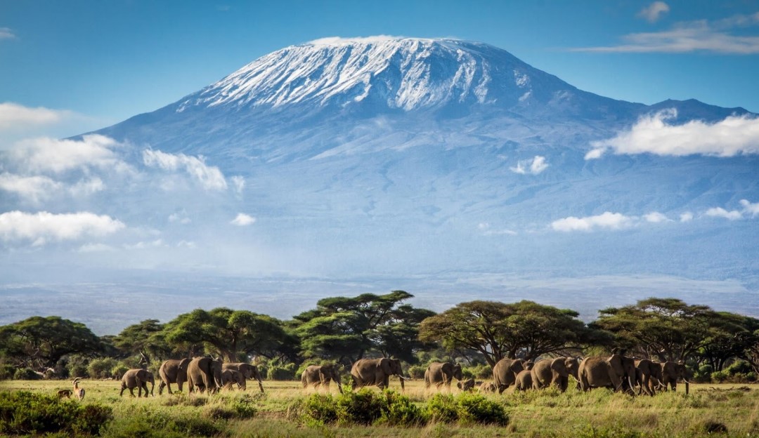 Scenic beauty of Mount Kilimanjaro