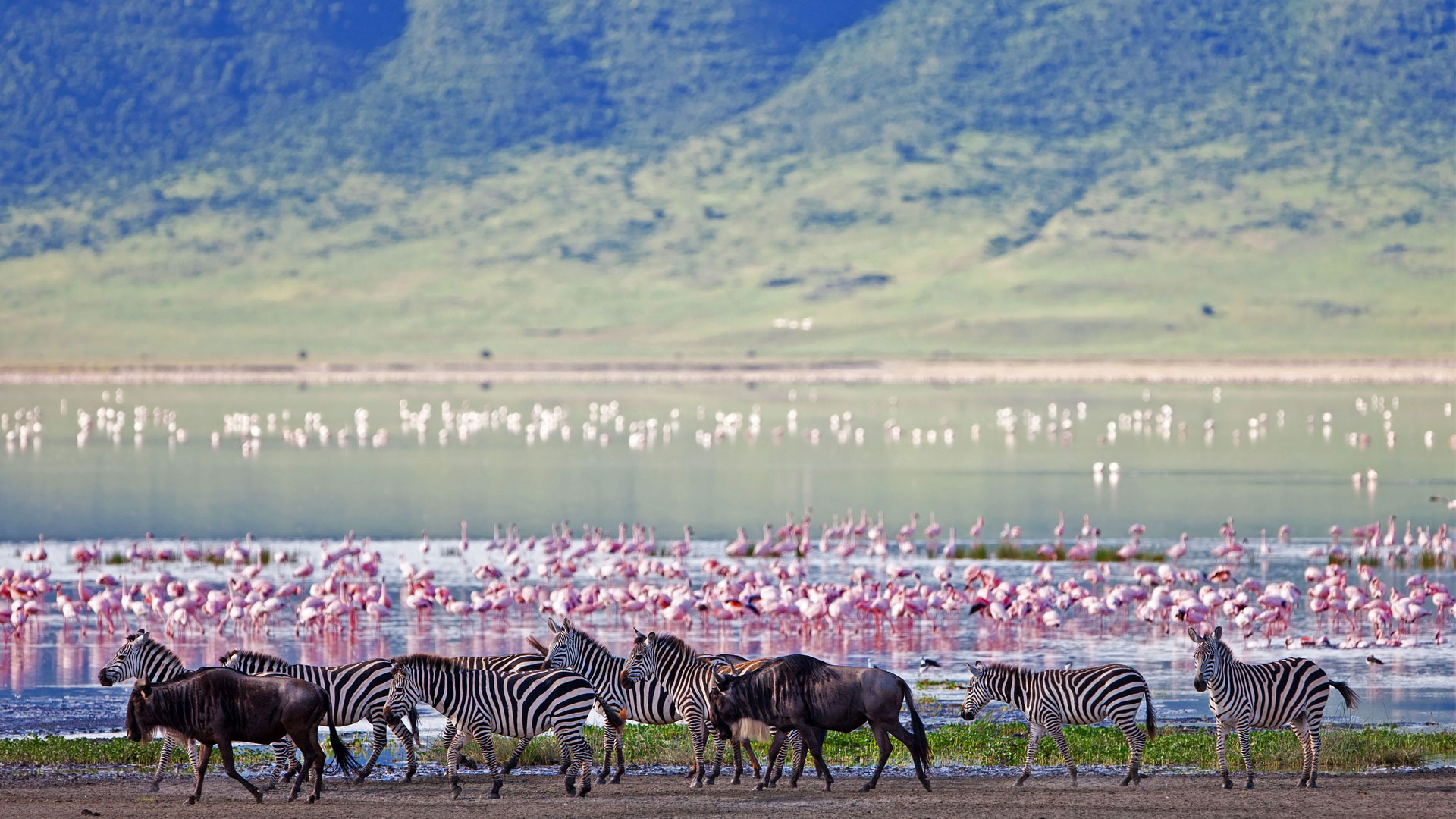 4 days Group to Tarangire, Serengeti & Ngorongoro crater
