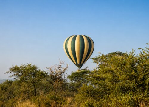 How to Plan the Perfect Tanzania Luxury Safari in 2026-2027
