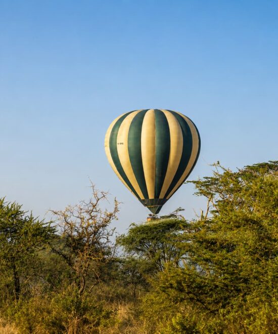 How to Plan the Perfect Tanzania Luxury Safari in 2026-2027