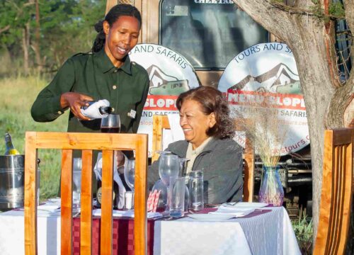 A Magical Bush Dinner in Central Serengeti – A Story to Remember A Magical Bush Dinner in Central Serengeti – A Story to Remember