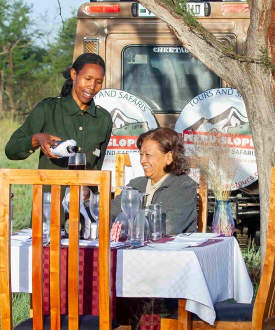 A Magical Bush Dinner in Central Serengeti – A Story to Remember