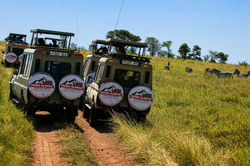 Tanzania Luxury Safari in 2026-2027.