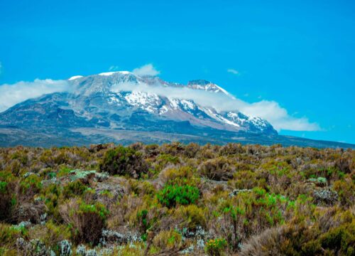 Kilimanjaro Climbing Routes Compared: Marangu vs Machame vs Lemosho
