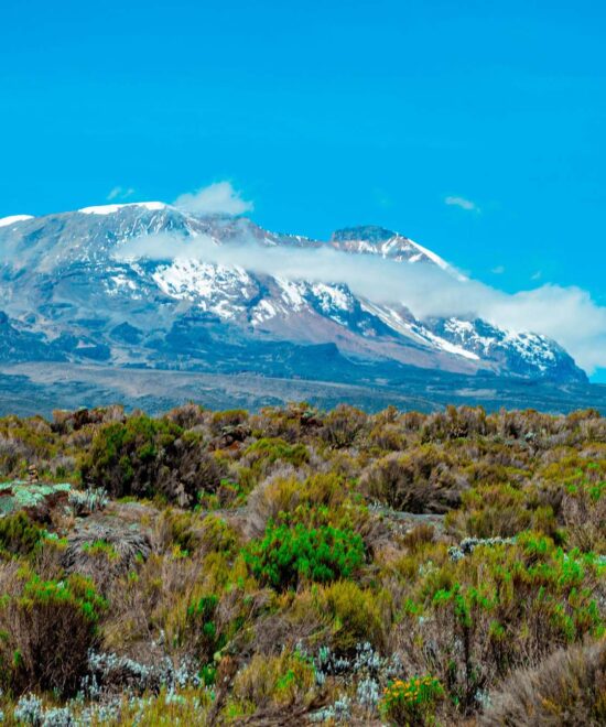 Kilimanjaro Climbing Routes Compared: Marangu vs Machame vs Lemosho