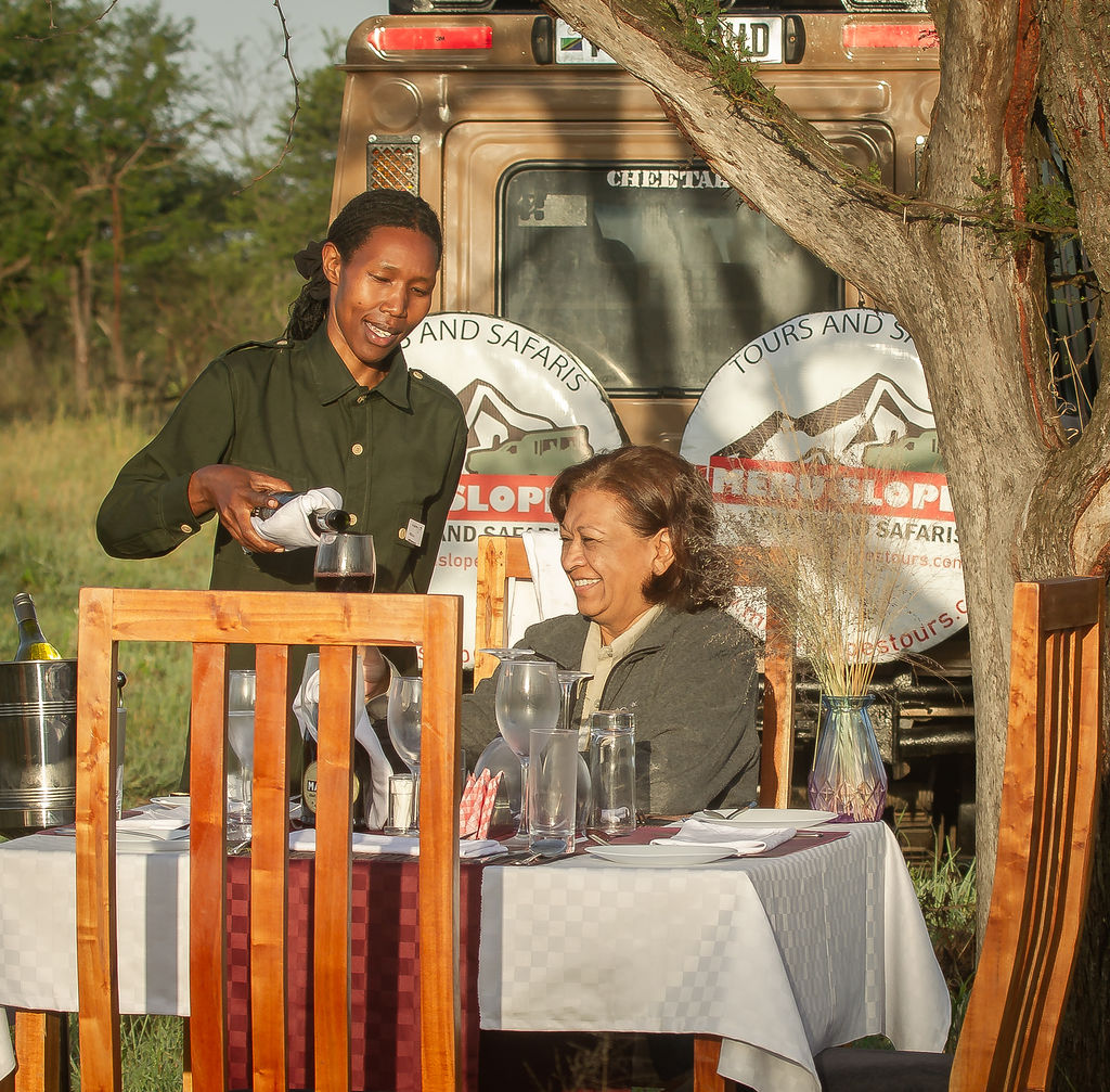 A Magical Bush Dinner in Central Serengeti – A Story to Remember