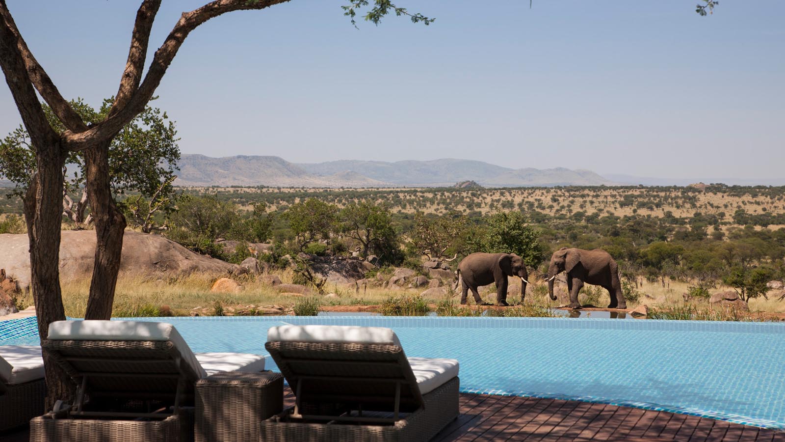 four seasons safari lodge401148 310