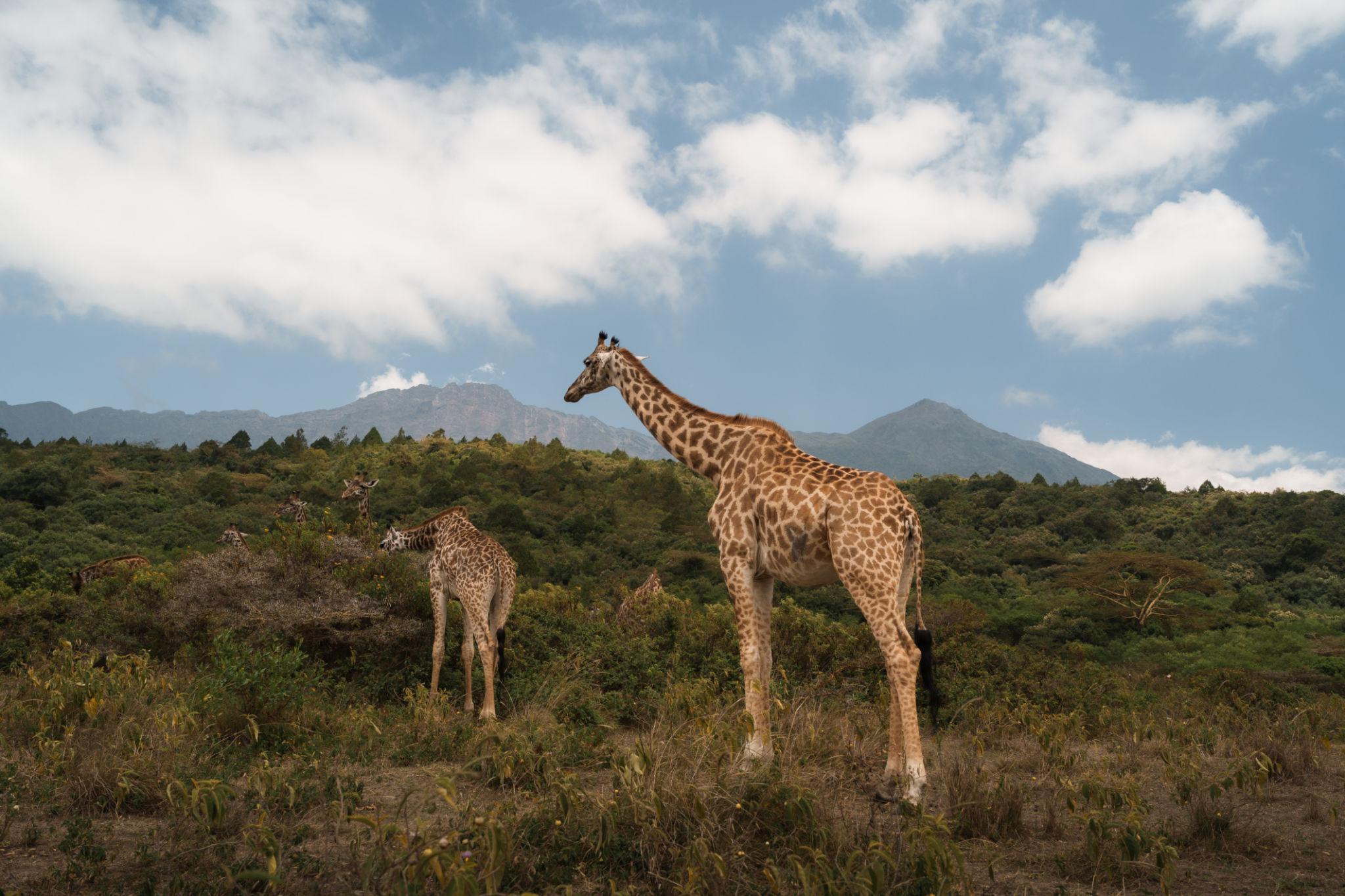 Things to Do in Arusha