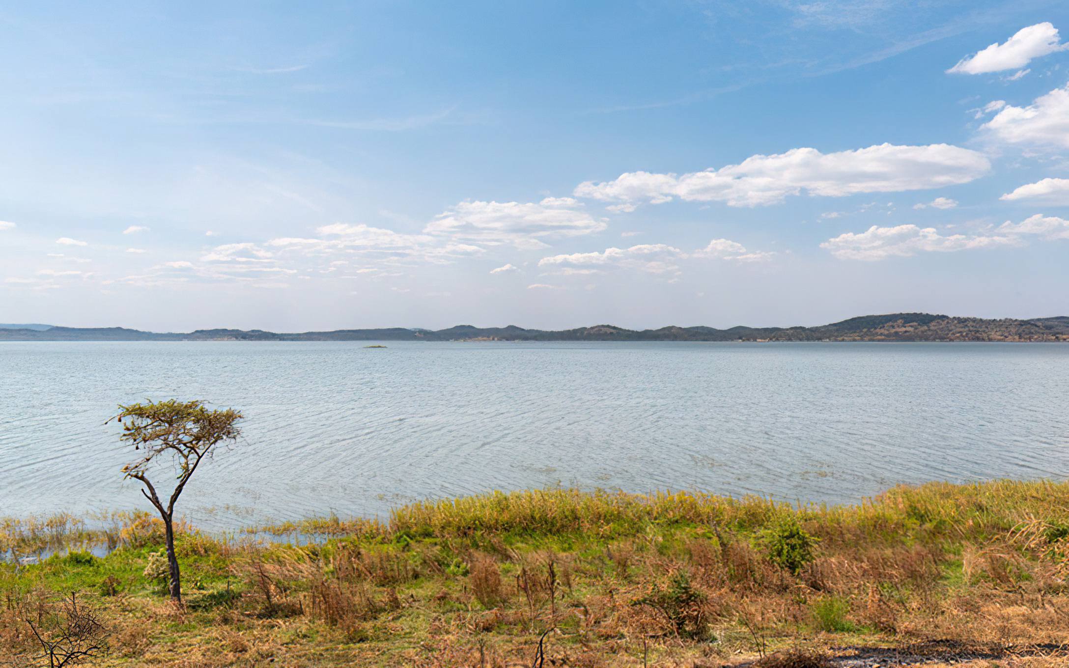 Lake Burigi in Chato National Park 08