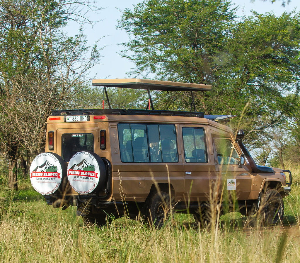 Tanzania Safari 6