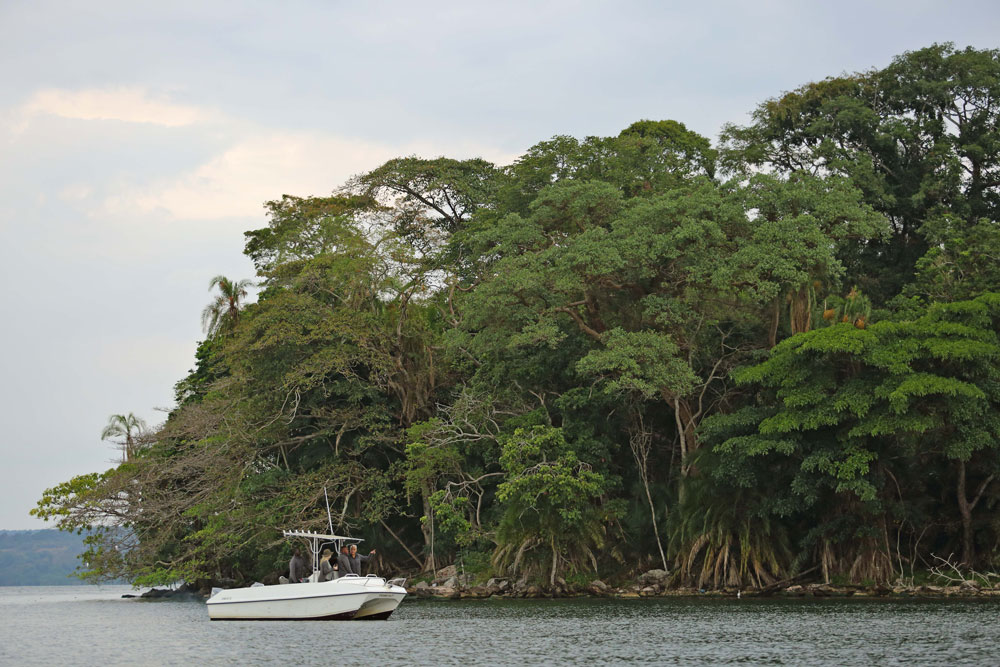 boating safari luxury tanzania safari rubondo island lodge chimpanzee