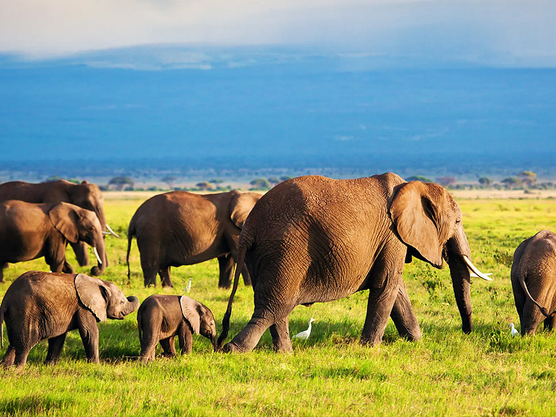 Burigi-Chato National Park