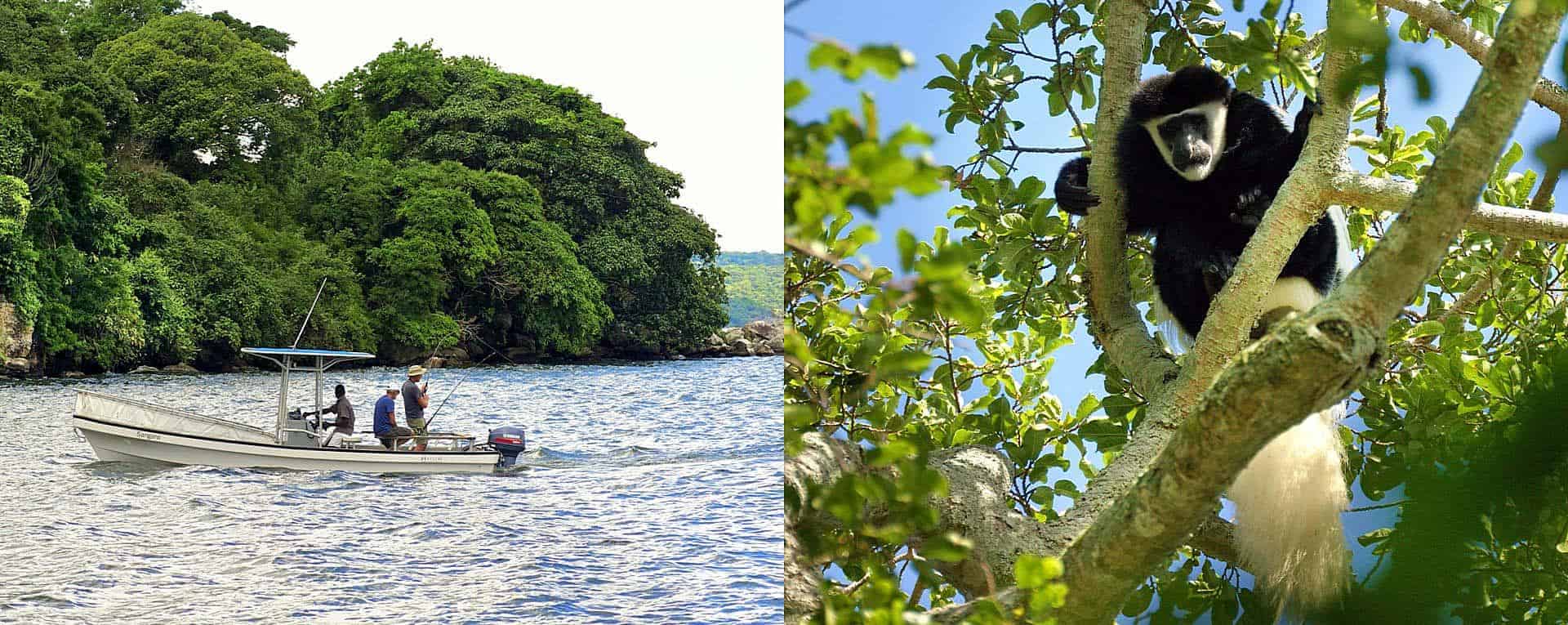 Rubondo Island National Park