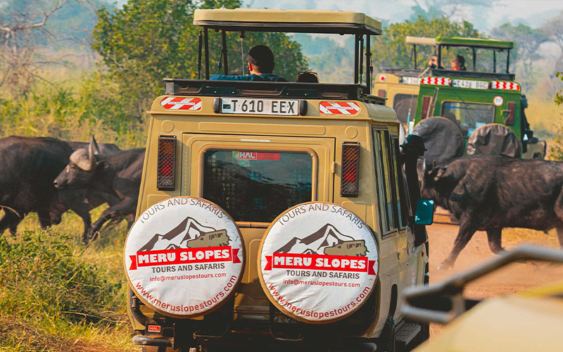 Meru Slopes SafariBookings reviews