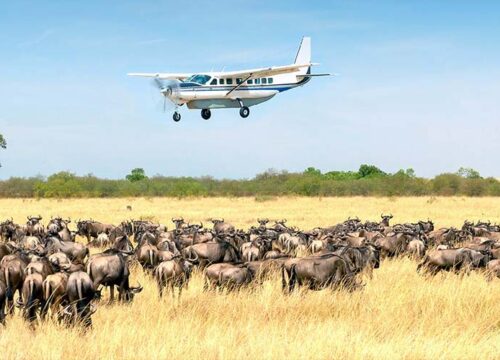 3-Day Serengeti Flight Safari Package
