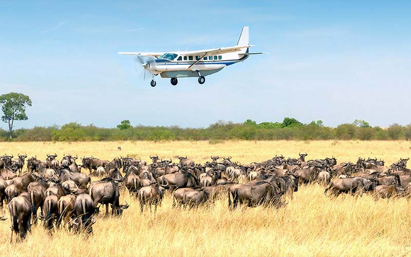 5 Day Fly into Serengeti Great Migration from Zanzibar