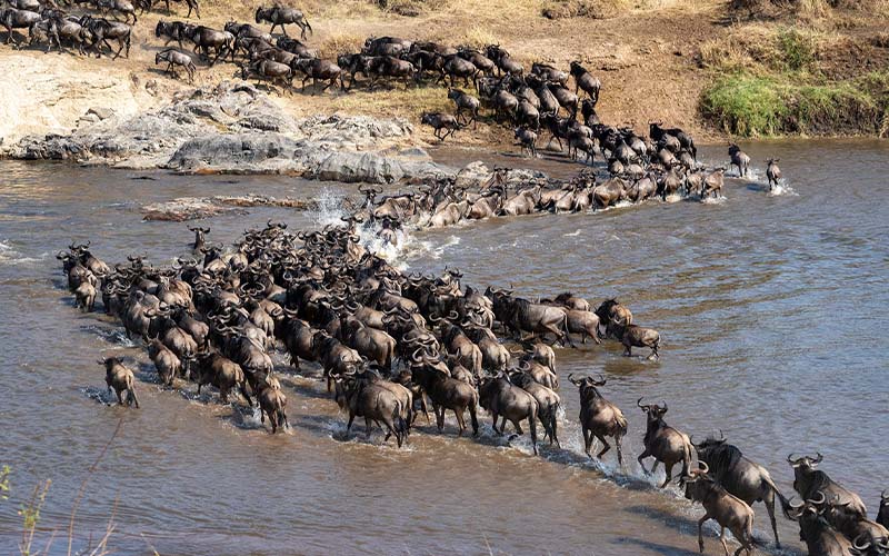 Serengeti National Park