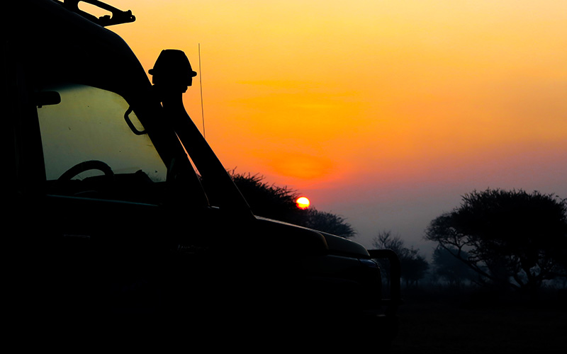8 Days Classic Sunset and Wildbeest Migration Safari in Tanzania