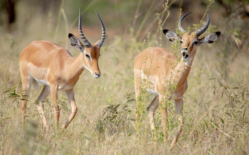 8-Day Private Camping Tour