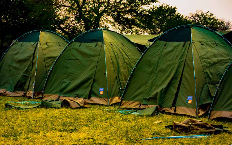 Budget Camping Safaris