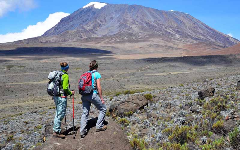 Scenic Tanzanian safari landscape showcasing the country's varied terrain