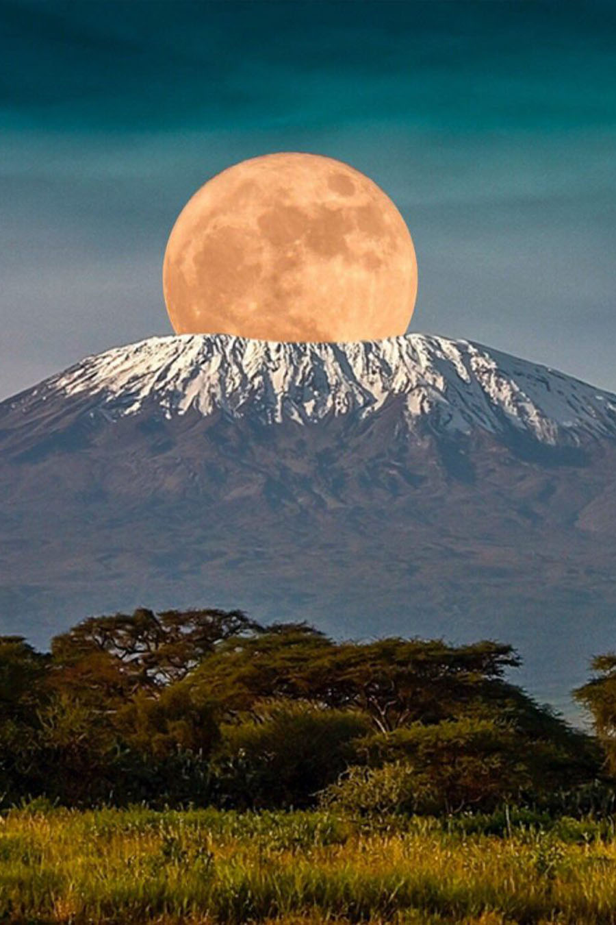Kilimanjaro