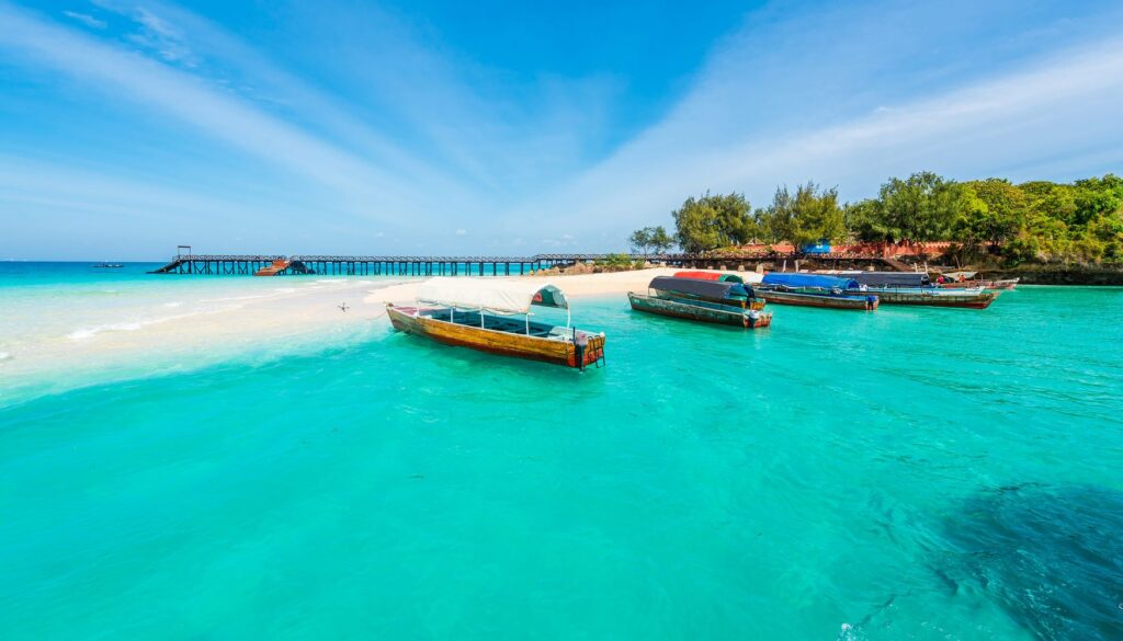 From Dust to Dhow: A Safari Tanzania and Zanzibar Love Story Between Savannah and Sea Zanzibar Safari
