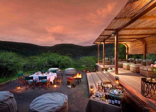 How to Plan the Perfect Safari in Tanzania 2026-2027