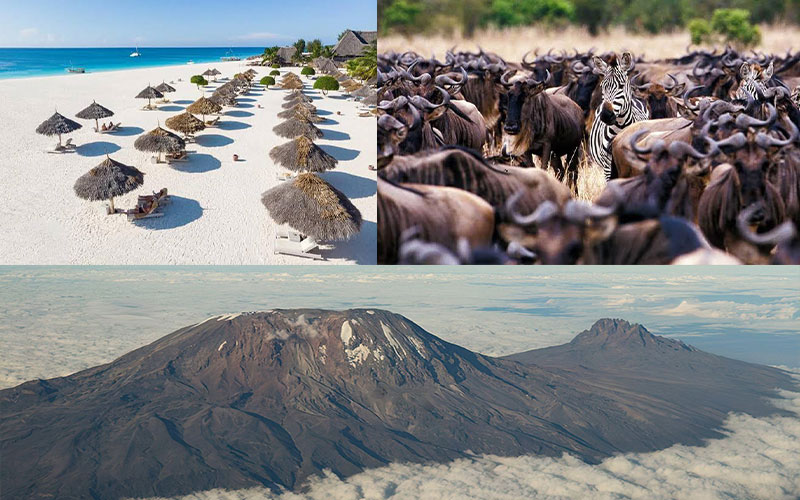 How to Plan the Perfect Safari in Tanzania 2026-2027 How to Plan the Perfect Safari in Tanzania