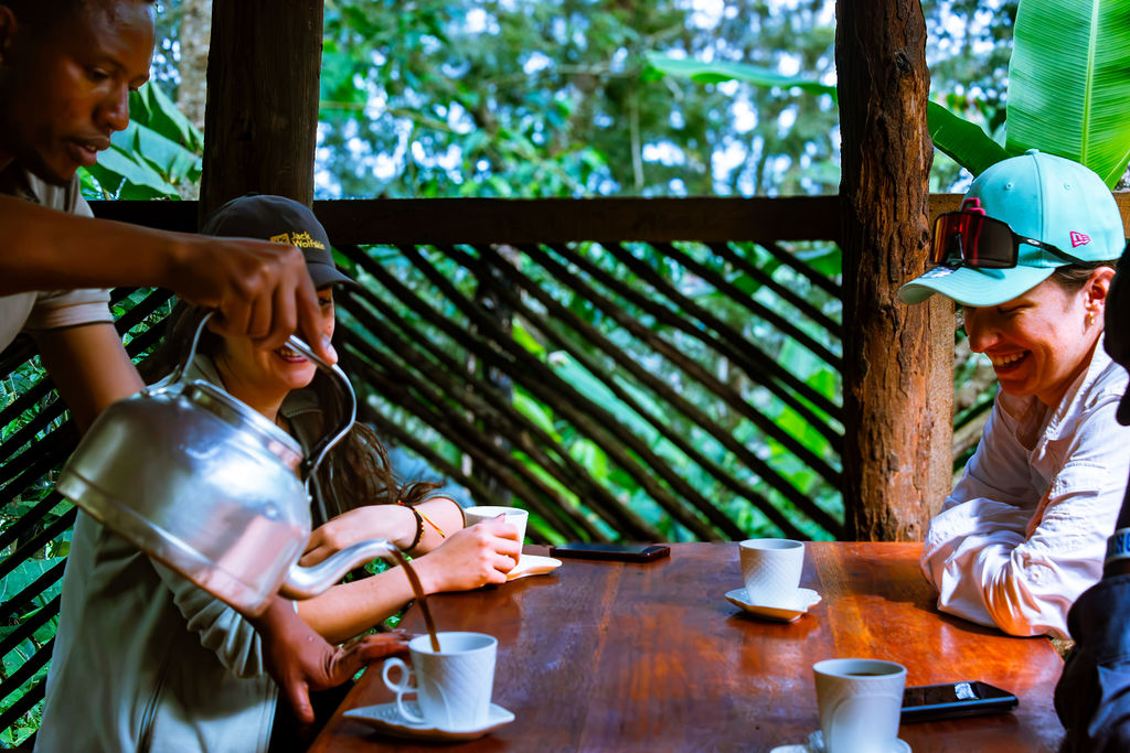 Luxury Tanzania safari combined with coffee experience in Serengeti landscape