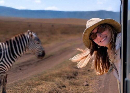 Tanzania Safari All-Inclusive Packages: Where Every Detail Is Already Written