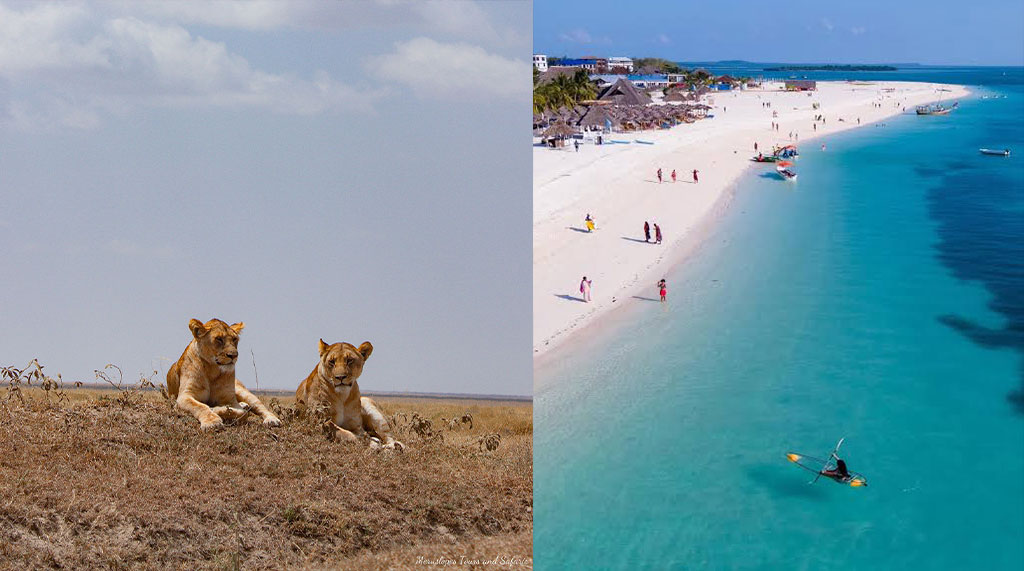 From Dust to Dhow: A Safari Tanzania and Zanzibar Love Story Between Savannah and Sea Safari Tanzania and Zanzibar