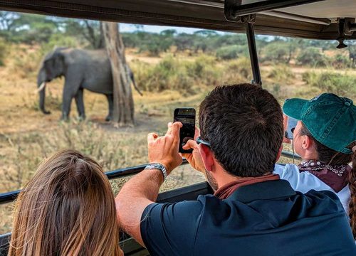 6 Day Drive In & Fly Out Serengeti Private Safari
