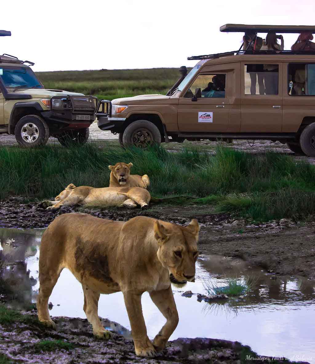 Tanzania cultural experience