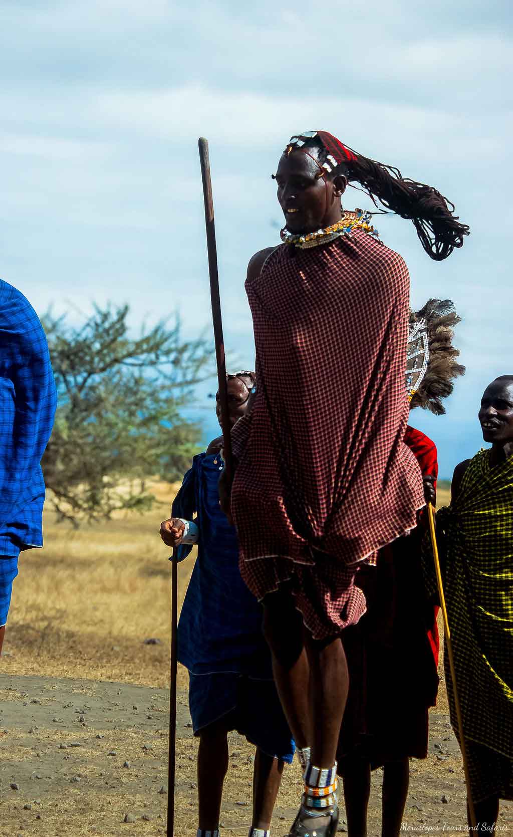 Tanzania safari experience