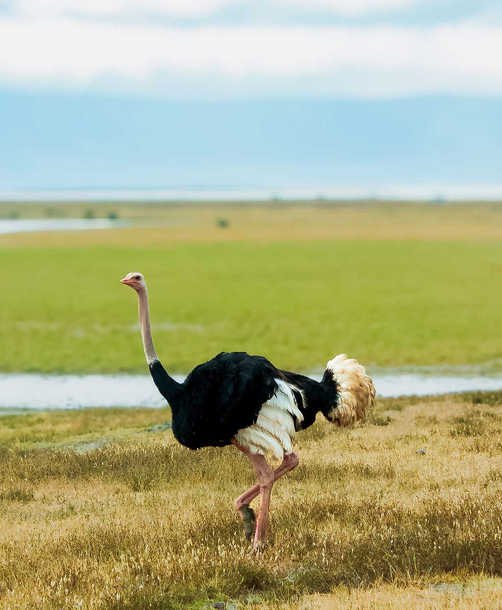 Tanzania cultural experience