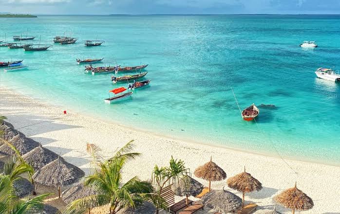 From Dust to Dhow: A Safari Tanzania and Zanzibar Love Story Between Savannah and Sea