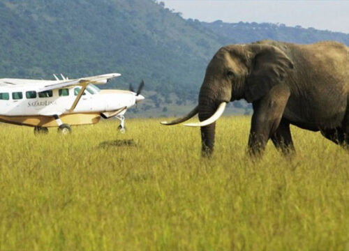 10 Days Kenya & Tanzania Fly-In Safari Adventure