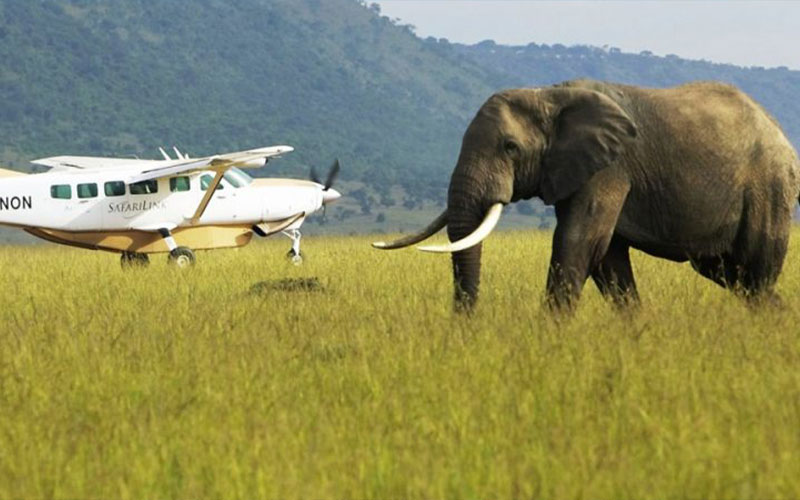 3 Days All Inclusive Luxury Fly into Serengeti Migration Tour