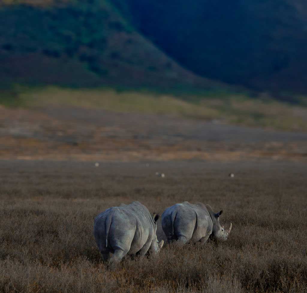 Aerial view of the Ngorongoro Crater on a best Tanzania safaris luxury itinerary